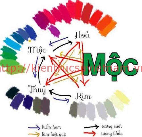 mệnh mộc đeo vòng màu gì