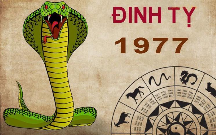 1977 mệnh gì